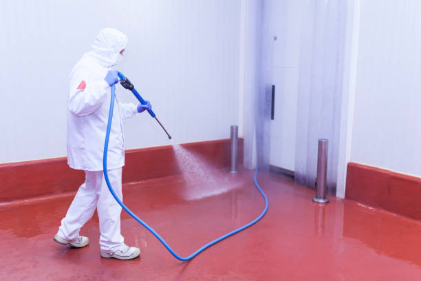 Best Driveway Pressure Washing  in Braddock, VA